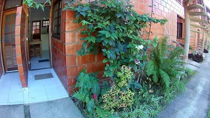 Apt Studio Maranduba Ville 1 Ubatuba Exterior foto